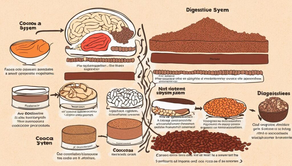 Cocoa and Nutrient Absorption