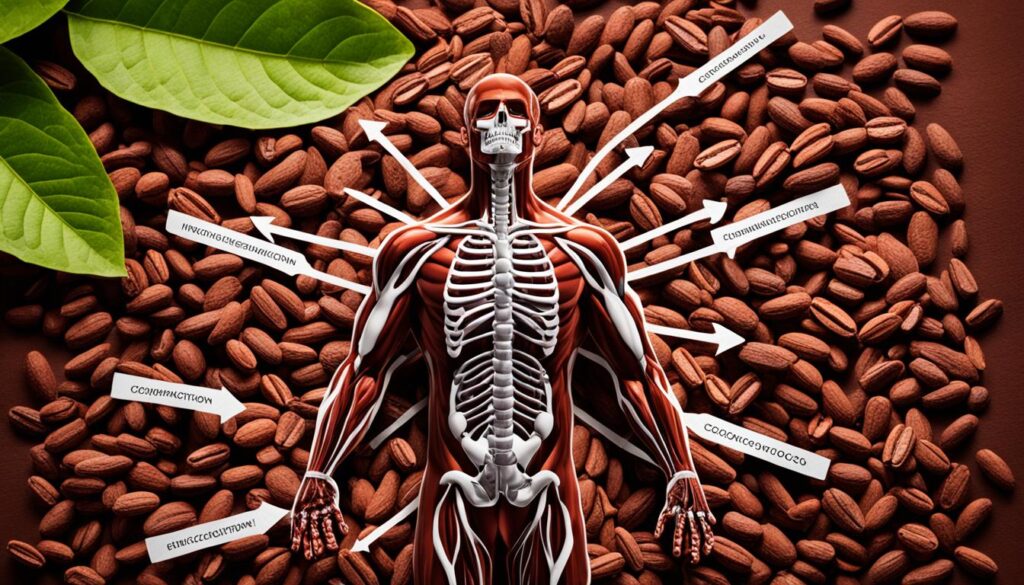 how cocoa impacts the immune system